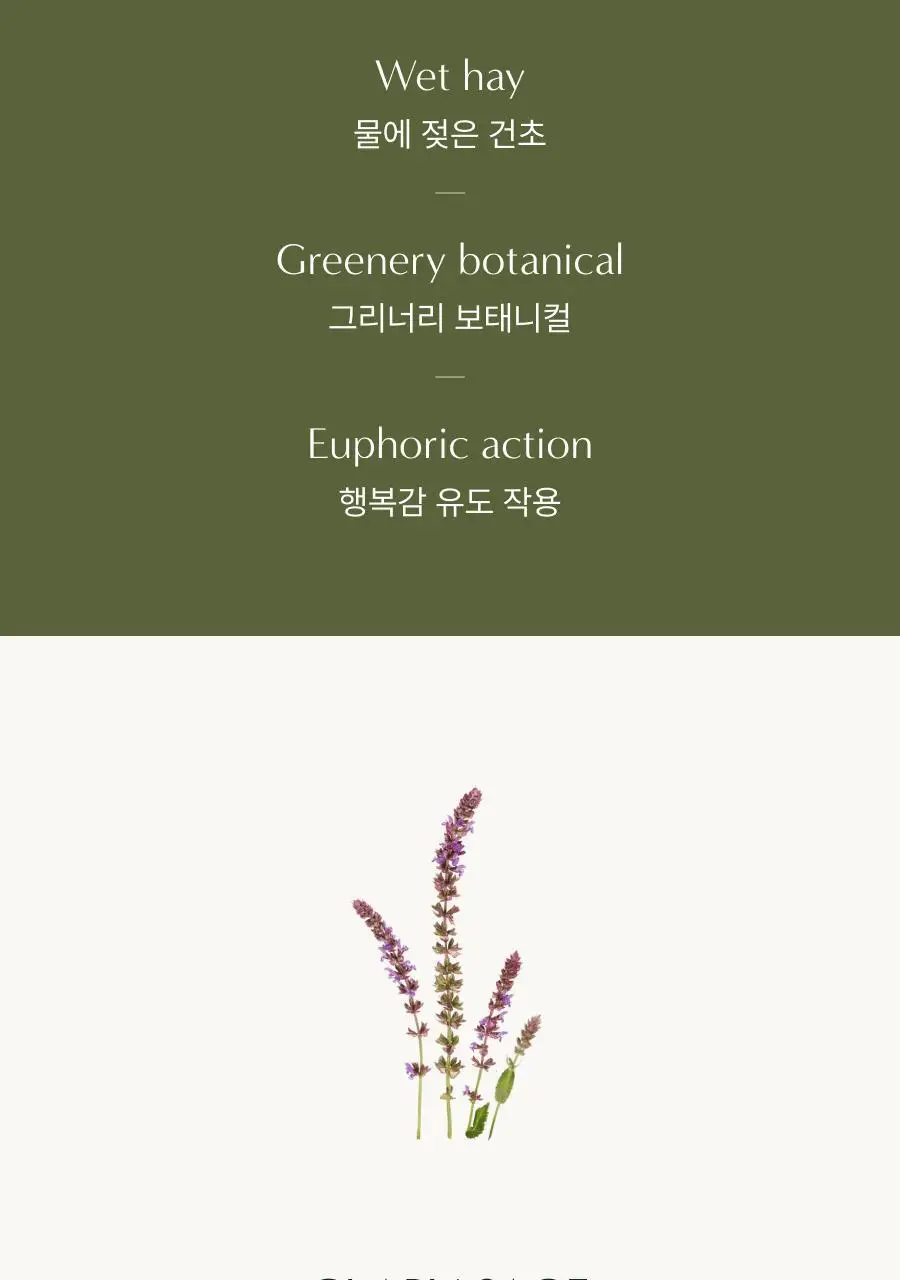 [선물추천] 아로마티카 언버든 스트레스 릴리프 밤 17g 상세페이지 3